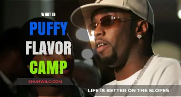 Exploring Puffy Flavor Camp: A Unique Culinary Adventure Unveiled
