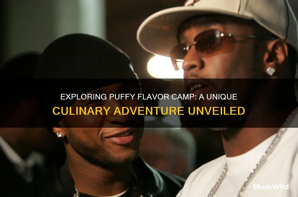 what is puffy flavor camp