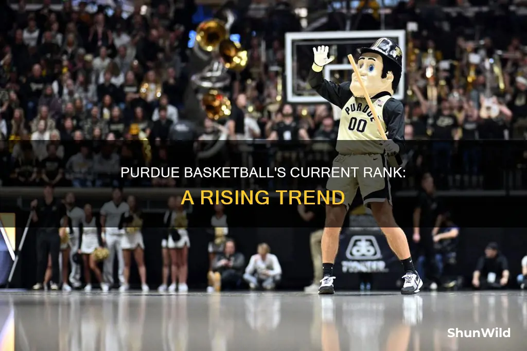 what is purdue basketball ranked