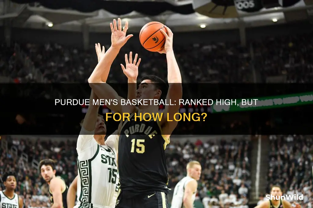 what is purdue men