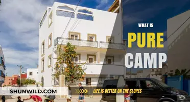 Exploring the Essence of Pure Camp: A Journey into Authenticity