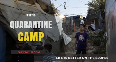 Understanding Quarantine Camps: Purpose, Conditions, and Controversies