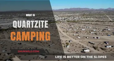 Exploring the Great Outdoors: A Beginner's Guide to Quartzite Camping