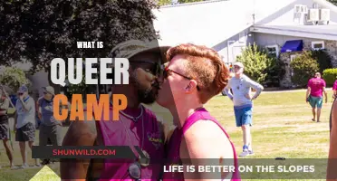 Exploring Queer Camp: A Journey into Inclusivity and Self-Expression