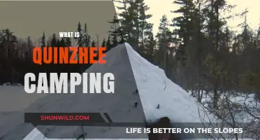 Exploring the Cozy World of Quinzhee Camping: A Beginner's Guide