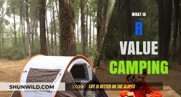 Exploring the Great Outdoors: A Beginner's Guide to R Value Camping