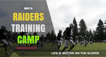 Exploring the Intensity: Inside the Raiders' Training Camp