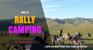 Exploring the Great Outdoors: A Beginner's Guide to Rally Camping