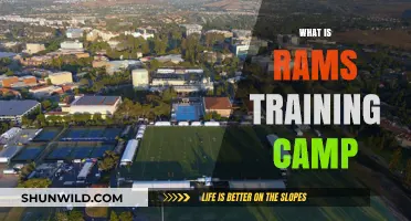 Exploring the Dynamics of RAMS Training Camp: A Comprehensive Guide