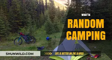 Exploring the Wilderness: A Beginner's Guide to Random Camping