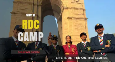 Exploring the Innovative World of RDC Camps: A Comprehensive Guide