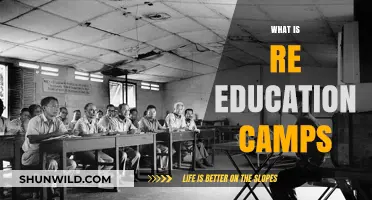 Understanding Reeducation Camps: A Comprehensive Overview