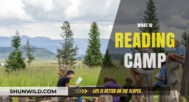 Unleashing the Joy of Reading: A Summer Camp Adventure