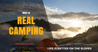 Embracing the Wild: What Real Camping Is All About
