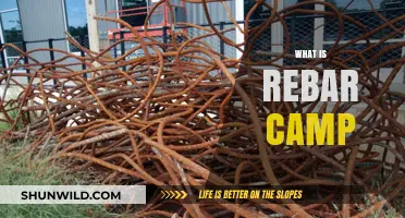 Exploring Rebar Camp: A Comprehensive Guide to Steel Reinforcement