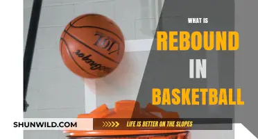 Mastering Rebounds: Basketball's Key to Success