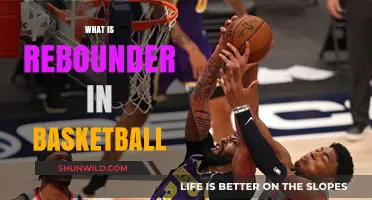 Who Are the Rebounding Kings in Basketball?
