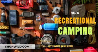 Exploring the Great Outdoors: A Beginner's Guide to Recreational Camping