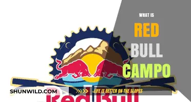 Exploring the Thrills of Red Bull Campo: An Adventure Unveiled