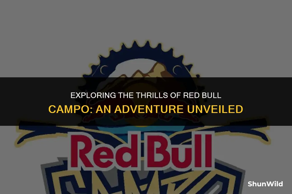 what is red bull campo