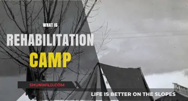 Understanding Rehabilitation Camps: Purpose, Process, and Outcomes