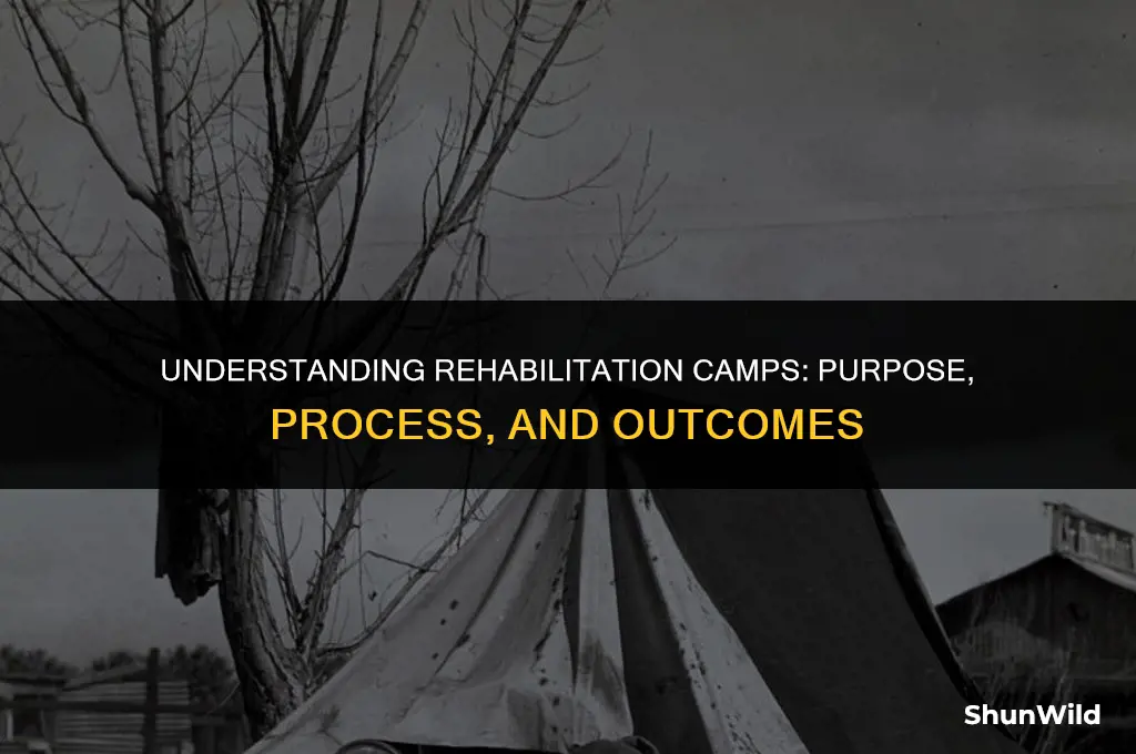 what is rehabilitation camp