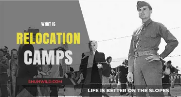 Understanding Relocation Camps: A Historical and Humanitarian Perspective