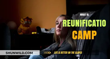 Exploring the Concept of Reunification Camps: A Comprehensive Guide