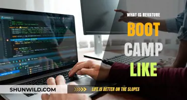 Revature Boot Camp Experience: Insights, Challenges, and Career Outcomes