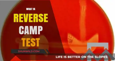Exploring the Reverse Camp Test: A Comprehensive Guide