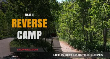Exploring the Concept of Reverse Camping: A Beginner's Guide
