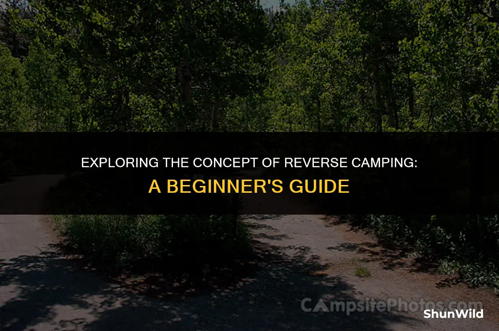 what is reverse camp