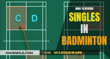 Understanding Reverse Singles in Badminton