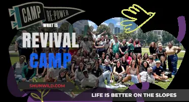 Exploring the Transformative Journey of Revival Camps