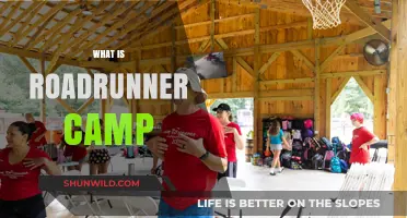 Exploring Roadrunner Camp: A Journey into Adventure and Discovery