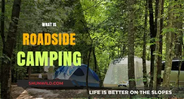 Exploring the Great Outdoors: A Beginner's Guide to Roadside Camping