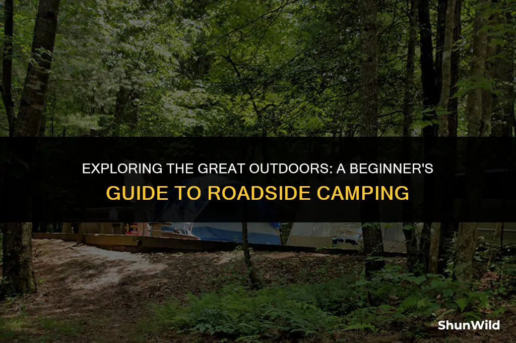 what is roadside camping
