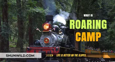 Unveiling the Secrets of Roaring Camp: A Journey into Adventure