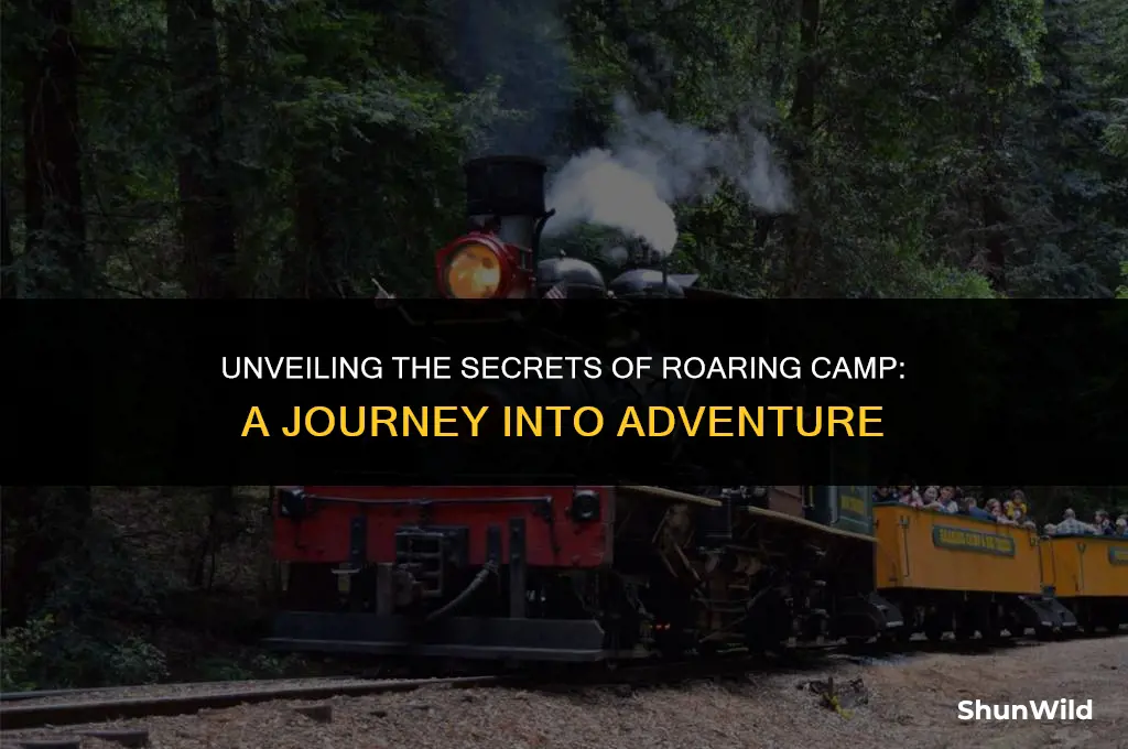 what is roaring camp