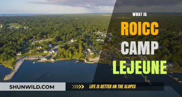 Unveiling the Truth: ROICC Camp Lejeune's Toxic Legacy