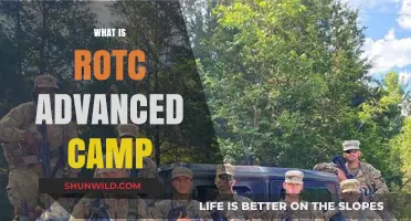 Exploring the Challenges and Rewards of ROTC Advanced Camp