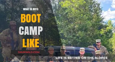 Inside ROTC Boot Camp: Challenges, Growth, and Military Preparation Explained