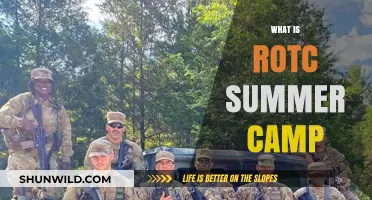 Exploring ROTC Summer Camp: A Journey of Leadership and Adventure