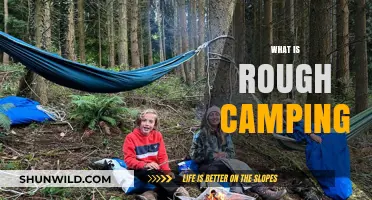 Embracing the Wild: A Beginner's Guide to Rough Camping