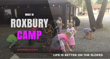 Exploring Roxbury Camp: A Comprehensive Guide to Its History and Offerings