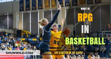 The RPGs of Basketball: Stats and Player Roles