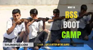 Understanding RSS Boot Camp: A Comprehensive Guide for Beginners