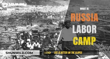 Unveiling the Reality of Russia's Labor Camps: A Historical Perspective
