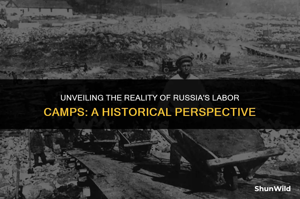 what is russia labor camp