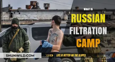 Unveiling the Horrors: Inside Russia's Filtration Camps